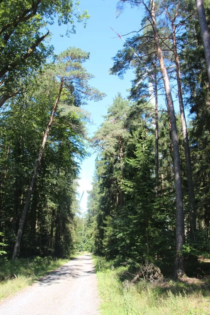 Waldweg, der zum Rotorblatt Transport genutzt wurde