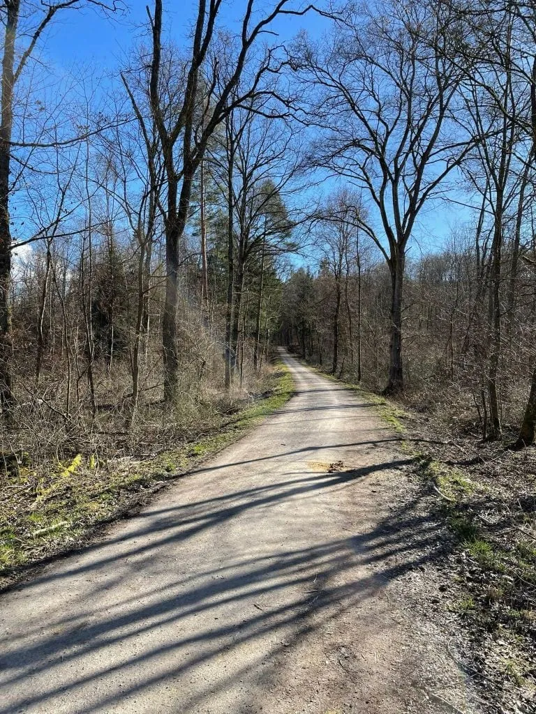 Waldweg im BB-14 Gebiet